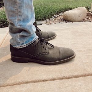 men’s calvin klein grey suede oxfords